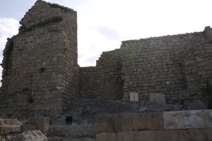 P1000540.png